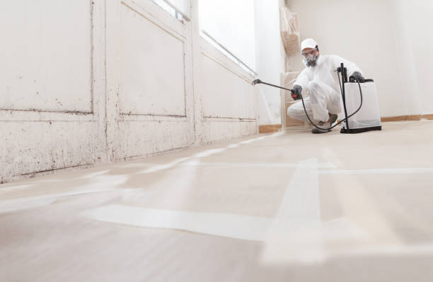 24/7 Emergency Bathroom Mold Removal experts in Rockaway, NJ