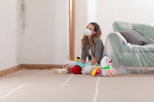 Reliable Bathroom Mold Removal contractor in Rockaway, NJ by WQB Mold Removal
